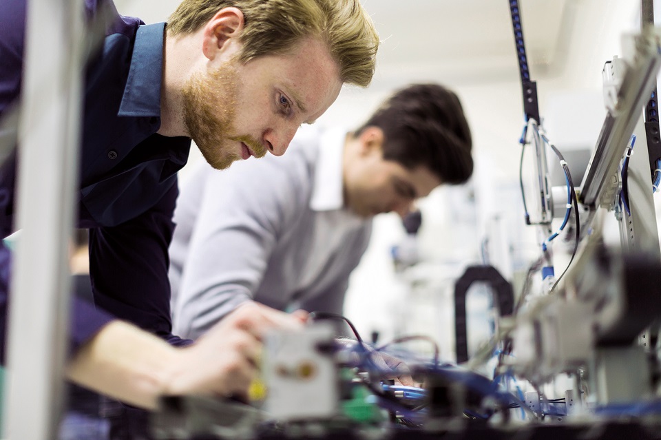 Young employees are immersed in their work