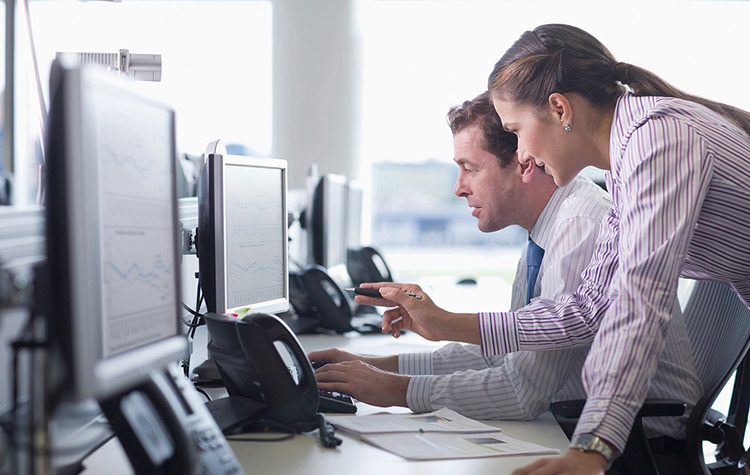 SAP consultants at work