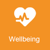 Wellbeing